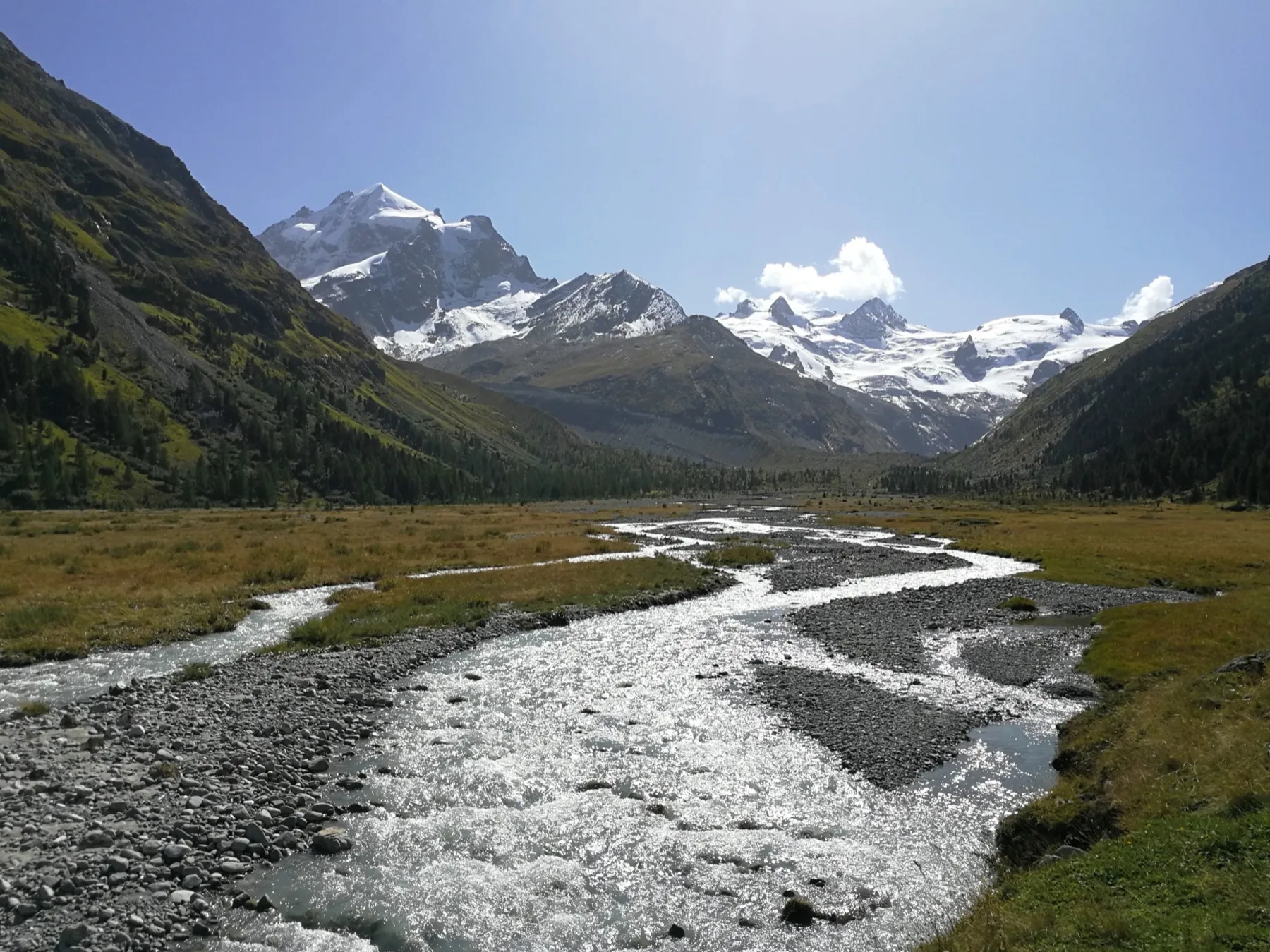 Val Roseg — passeggiata con carrozze da Pontresina